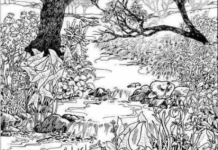 Mnogi su probali, ali RIJETKO KO USPIJE: Svako ko pronađe ženu na fotografiji ima natprosečnu inteligenciju!