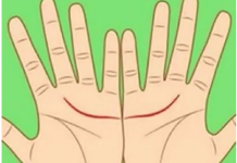 Ove linije na dlanu imaju samo posebni ljudi, nema ih mnogo, iznenadićete se kada čujete šta znače