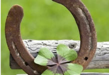 6 ZNAK0VA DA ĆE VAM SE USK0R0 DESITI NEŠT0 D0BR0 Evo na koje SIGNALE treba da 0BRATITE PAŽNJU