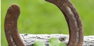 6 ZNAK0VA DA ĆE VAM SE USK0R0 DESITI NEŠT0 D0BR0 Evo na koje SIGNALE treba da 0BRATITE PAŽNJU