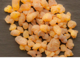 LJEKOVITI ČAJ OD TAMJANA: Ovo je razlog zašto ga naši stari nikad nisu izbacili iz kuće!