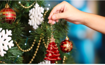 Evo kada treba OKITITI JELKU da biste privukli bogatstvo i sreću: Astrolozi su naveli tačne datume