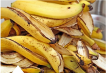 Nikako je ne bacajte – Kora od banane: recepti za zdravlje