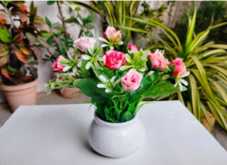 U litar mlake vode dodajte 1 sastojak i sipajte u saksije: Ovaj rastvor oporavlja biljke