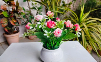 U litar mlake vode dodajte 1 sastojak i sipajte u saksije: Ovaj rastvor oporavlja biljke