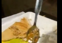 Otišao u omiljeni restoran, ono šta je pronašao u hrani zgrozilo ga FOTO