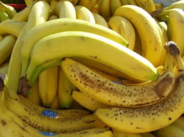 Banane nikako nemojte jesti ako imate neko od ovih oboljenja! Loše će uticati na vaše zdravlje