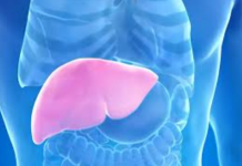 Hepatolog tvrdi da jedno voće obnavlja jetru za 7 dana, a sve zbog ovog enzima