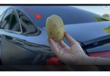 Imati 1 krompir u autu može vam spasiti život i niko vam to neće reći!