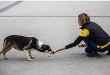 Ako vas napadne pas, izgovorite samo jednu riječ koja vam može spasiti život