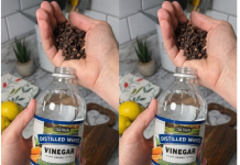 Uzmite čašu sirćeta, običnih karanfilića i dobro sačuvajte ovaj domaći trik: KORISTIM GA GODINAMA I PREPORUČUJEM SVIMA!