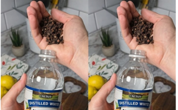 Uzmite čašu sirćeta, običnih karanfilića i dobro sačuvajte ovaj domaći trik: KORISTIM GA GODINAMA I PREPORUČUJEM SVIMA!