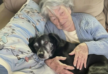 Baka mi nije ostavila ništa — ali njen pas je krio tajnu koja je sve promijenila