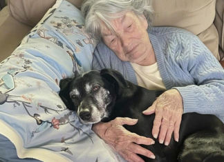 Baka mi nije ostavila ništa — ali njen pas je krio tajnu koja je sve promijenila