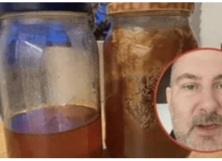 Pčelar pokazao gdje u kući treba čuvati med: VEĆINA LJUDI TO RADI POGREŠNO!