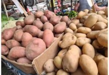 STRUČNJACI OTKRILI DA LI JE BOLJI CRVENI ILI BIJELI KROMPIR: Razlika je velika, a OVAJ je zdraviji