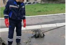 IZVUKLI “KAPITALCA” OD DVA METRA IZ KANALIZACIJE: Radnici ŠOKIRANI prizorom u naselju Vojvode Vlahovića! (FOTO)