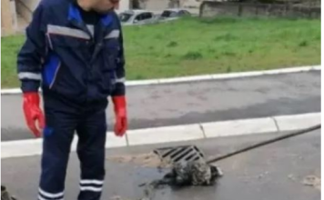 IZVUKLI “KAPITALCA” OD DVA METRA IZ KANALIZACIJE: Radnici ŠOKIRANI prizorom u naselju Vojvode Vlahovića! (FOTO)