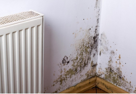 KUĆA VAM SMRDI NA VLAGU, ZIDOVI SE CRNE?? EVO kako da se REŠITE ove NAPASTI, kao da je nikad nije bilo!