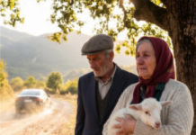 Ostavili su starce bez doma, ali nisu znali šta krije stari kofer