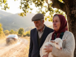 Ostavili su starce bez doma, ali nisu znali šta krije stari kofer