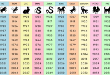 NIJE NI ČUDO ŠTO JE NAJTAČNIJI: Saznajte šta ste u kineskom horoskopu i šta vam poručuje