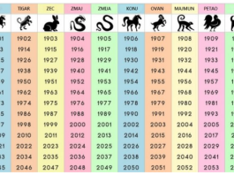 NIJE NI ČUDO ŠTO JE NAJTAČNIJI: Saznajte šta ste u kineskom horoskopu i šta vam poručuje