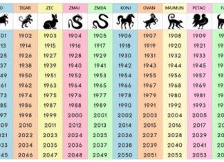 NIJE NI ČUDO ŠTO JE NAJTAČNIJI: Saznajte šta ste u kineskom horoskopu i šta vam poručuje