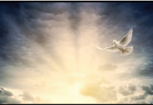 Sanjate pokojne roditelje? Stručnjaci upozoravaju, ovo su 3 razloga zašto vam dolaze u san