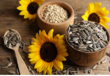 VRHUNSKE PREDNOSTI KONZUMIRANJA SJEMENKI ZA VAŠE ZDRAVLJE