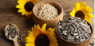 VRHUNSKE PREDNOSTI KONZUMIRANJA SJEMENKI ZA VAŠE ZDRAVLJE