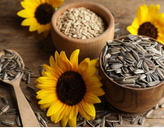 VRHUNSKE PREDNOSTI KONZUMIRANJA SJEMENKI ZA VAŠE ZDRAVLJE