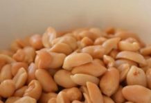 ISTINA O KIKIRIKIJU: Jedete ga često, a ne znate šta radi vašem organizmu