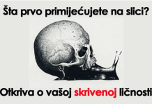 PAŽLJIVO POGLEDAJTE: Ono što prvo primijetite na slici, otkriva o vašoj skrivenoj ličnosti