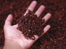 Stavite karanfilić večeras na vrata kupatila: Preko noći riješit ćete problem koji vas godinama muči