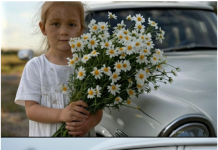 Prišla je svadbenim kolima mala djevojčica s buketom kamilica … Ali mlada slučajno primeti jednu ČUDNU DETALJU u njenoj kosi i nije mogla da veruje svojim očima…