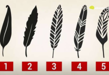 Psihološki test: Izaberite jedno pero i otkrijte najjače crte vašeg karaktera i skrivenu unutrašnju moć