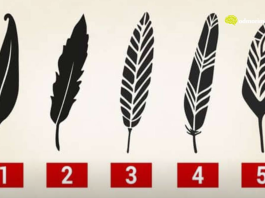 Psihološki test: Izaberite jedno pero i otkrijte najjače crte vašeg karaktera i skrivenu unutrašnju moć