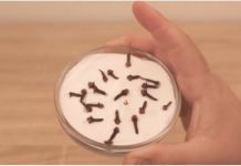 SVI ME PITAJU ZAŠTO U MOJOJ KUĆI TAKO LIJEPO MIRIŠE: Ovo je trik koji koristim, samo 2 sastojka – A KUĆA MIRIŠE DANIMA