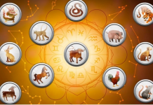 Po kineskom horoskopu za ova 3 znaka 2026. godina biće najbolja do sada u životu