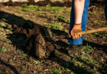 Krenite na vrijeme: Šta se sije u martu da bi vam bašta u maju bila puna plodova