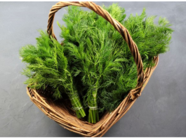 SNAŽNIJI JE OD BIJELOG LUKA: Svi bi trebalo da znaju kakav je efekat ove neupadljive biljke ljeti – ne stavljate je samo u krastavce!