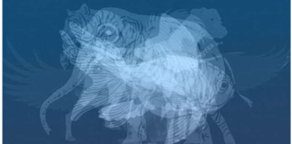 Životinja koju prvu vidite na slici otkrit će do gole kože vaš karakter: Jeste li spremni?