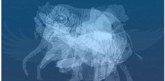 Životinja koju prvu vidite na slici otkrit će do gole kože vaš karakter: Jeste li spremni?