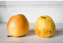 Nemojte bacati stare jabuke: Evo kako ih možete iskoristiti da poboljšate svoje zdravlje