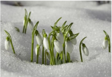 Uskoro ‘udara’ i treće džemre: Šta kaže narodni kalendar za 2026. godinu?