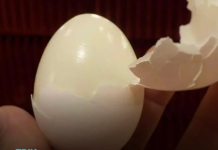 Kuhana jaja se ljušte u jednom potezu: Samo dodajte 1 sastojak u vodu i ljuska spada sama