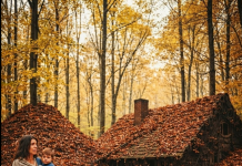 Iz pepela nevolje: Udovica koja je pronašla blago i dostojanstvo