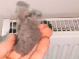 EVO KAKO DA OČISTITE RADIJATORE ZA MINUTU: Bolju foru niste vidjeli, kako se niko ranije nije sjeo ovoga?!