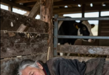 Mislila je da sam slomljena starica, dok se jedne noći nije sve okrenulo protiv nje